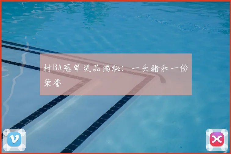 村BA冠军奖品揭秘：一头猪和一份荣誉