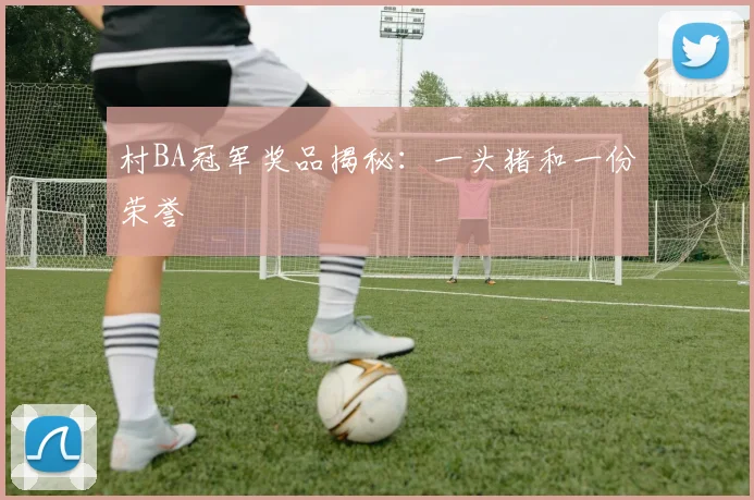 村BA冠军奖品揭秘:一头猪和一份荣誉